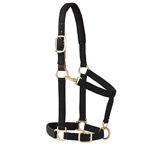 Breakaway Horse Halter with Comfort Foam Padding - Black