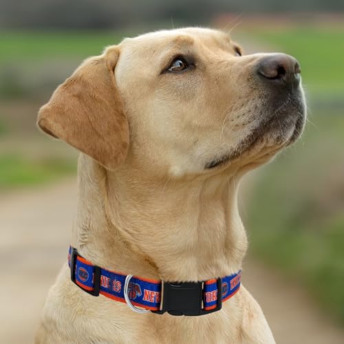 NBA Dog Collar - New York Knicks Medium Pet Collar for Dogs & Cats
