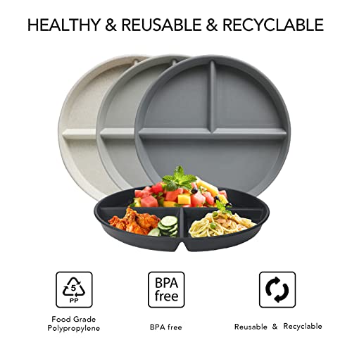 Grey Series 9 Inch Unbreakable Divided Plates - Set of 4, Reusable, BPA-Free