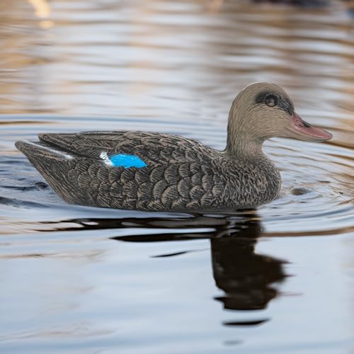 Realistic Mallard Duck Decoy (1) for Hunting & Ornament - Cifavor