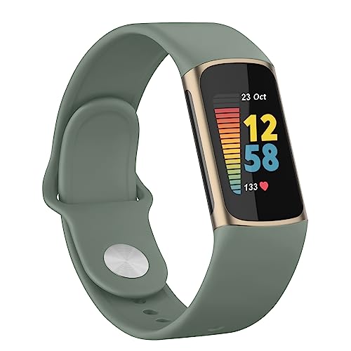 Silicone Sport Band for Fitbit Charge 6 - Cactus Color