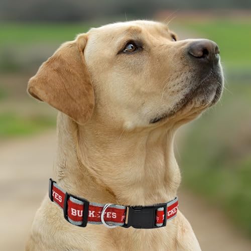 Ohio State Buckeyes Dog Collar - Medium NCAA Licensed Pet Collar