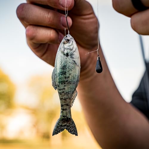 Panorama Soft Plastic Fishing Lure - Live Shad 5.0" (3/pk)
