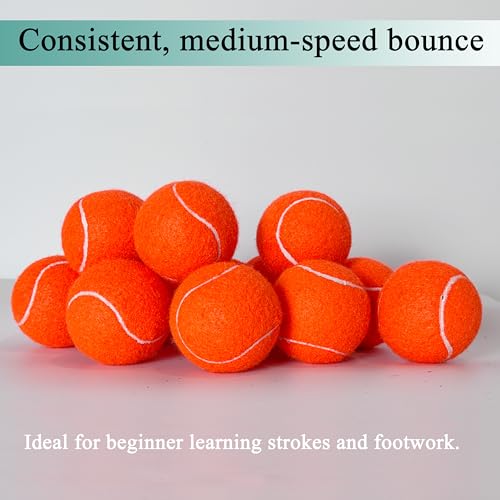 High-Visibility Tennis Balls - 4 Pack for Training & Dog Play - Orange