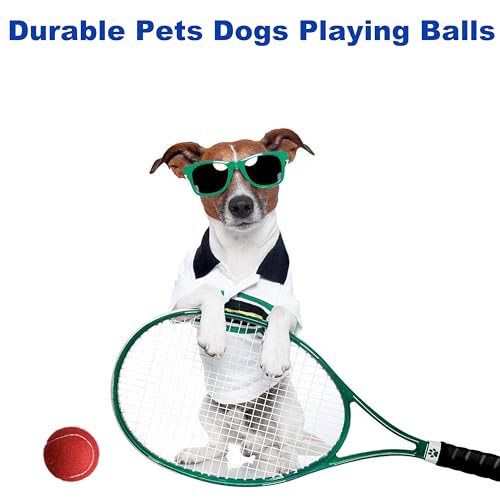Tennis Balls - 4 Pack Long Lasting Practice Balls for Beginners & Dogs - Red