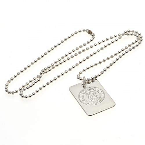 Silver Plated Dog Tag with Chain - 20 Inch Length