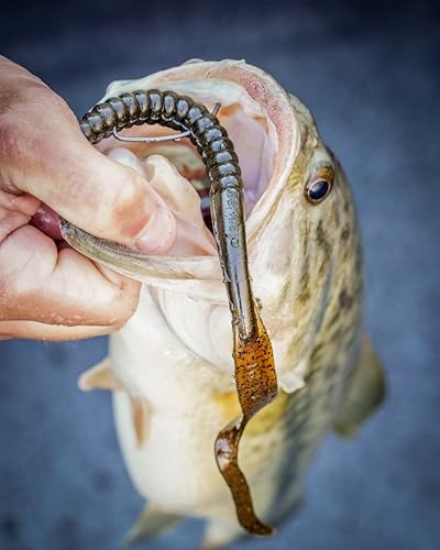 Power Worm Soft Plastic Fishing Bait - Green Pumpkin, 7" (13 Count)