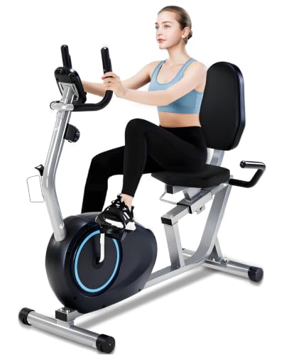 Recumbent Exercise Bike for Seniors - 400LB Capacity, Blue