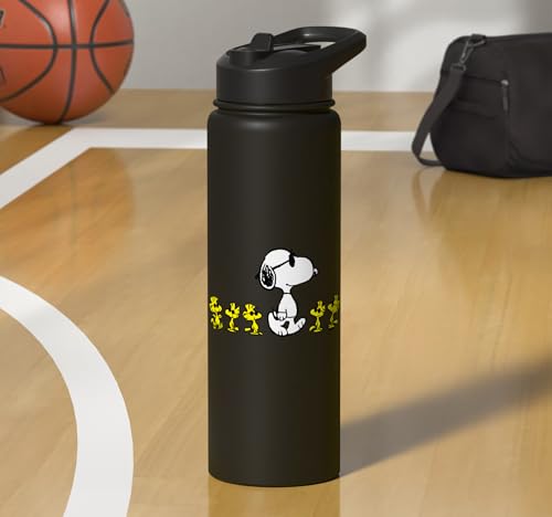 Peanuts Snoopy & Woodstock 30oz Insulated Stainless Steel Water Bottle - Black