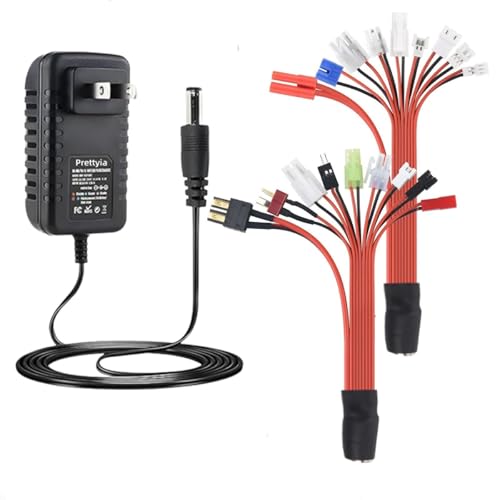 NiMH Battery Charger - Intelligent Fast Charging for 19 Groups