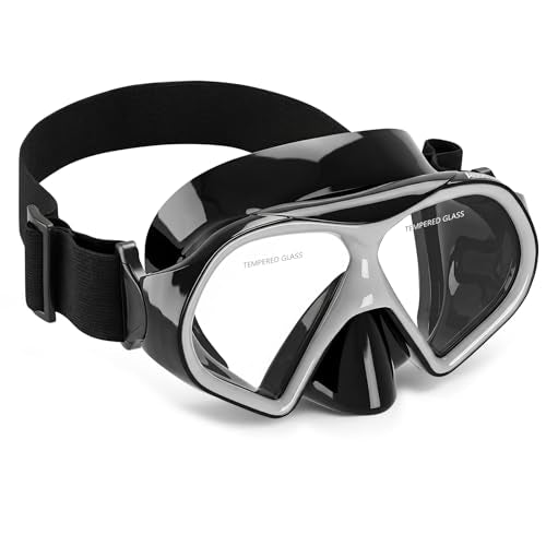 Aegend Swim Goggles with Nose Cover for Adults - Tempered Glass Mask (Silver/Black)