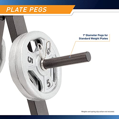 Weight Plate Tree for 1-Inch Plates - 300 lb Max Capacity