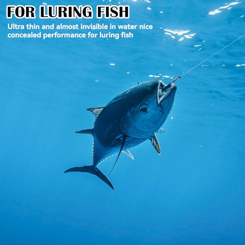 Invisible Fishing Bait Elastic Thread - 2 Pack, 0.2mm x 656ft Clear String