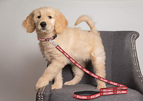 NCAA Dog Leash - Large Georgia Bulldogs Heavy-Duty Nylon
