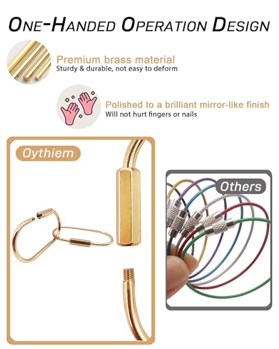 Oythiem 10 Pcs Gold Carabiner Keychain Clips with Secure Locking Screw