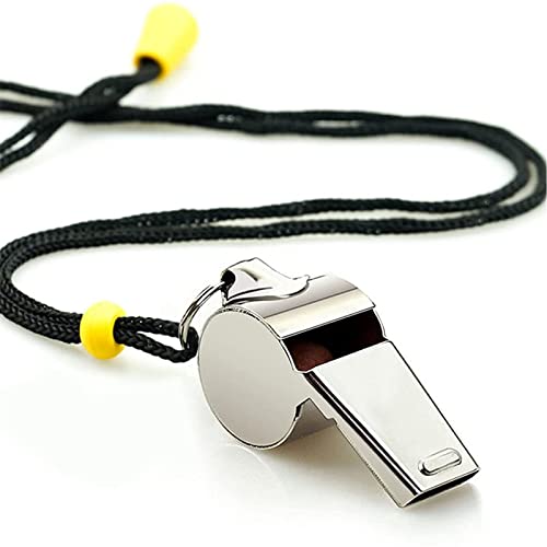 Stainless Steel Sports Whistles with Lanyards - 2 Pack