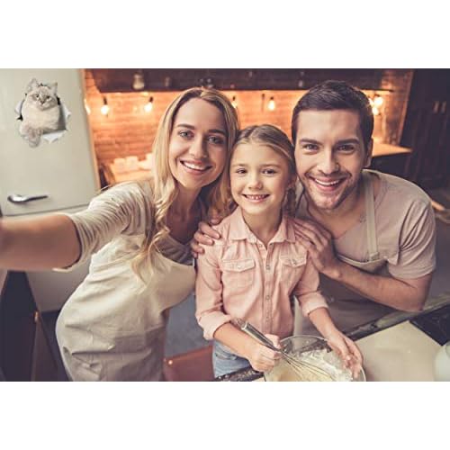 Winston & Bear 3D Cat Stickers - 2 Pack - Siberian Kitty Cat Decals for Wall - Stickers for Bedroom - Fridge - Toilet - Room - Retail Packaged