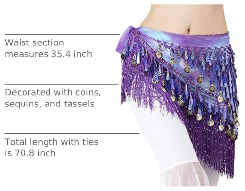 Purple Belly Dance Hip Scarf with Tassels Sequins & Coins - One Size Lauthen.S