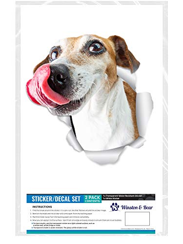 Hungry Jack Russell Dog Wall Decals - 2 Pack Realistic Vinyl Stickers