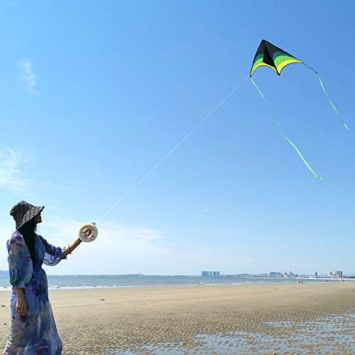 Delta Kite for Kids 63"x30" - Easy to Fly Beach Kite with 300ft String