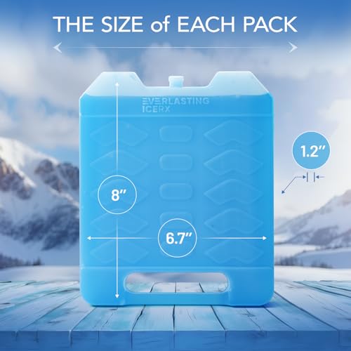 Everlasting Ice RX Large Reusable Cooler Ice Packs 4 Pack with Handle - Long Lasting, BPA Free, Extended Cooling for Camping, Fishing, Beach