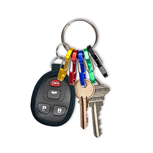 Small C-Shape Carabiner Keychain Clips Set - 5 Colors, 1 Pack