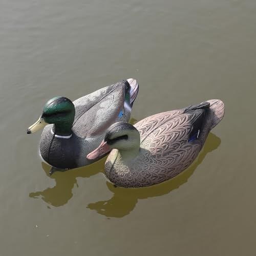 Mallard Duck Decoys 2-Pack - 13-Inch Floating Waterfowl Decoys with Weighted Keel for Hunting & Pond Decor