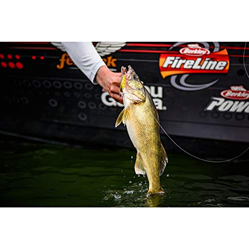 Flicker Shad Shallow Crankbait - Black Silver, 2/7 oz, 2 3/4"