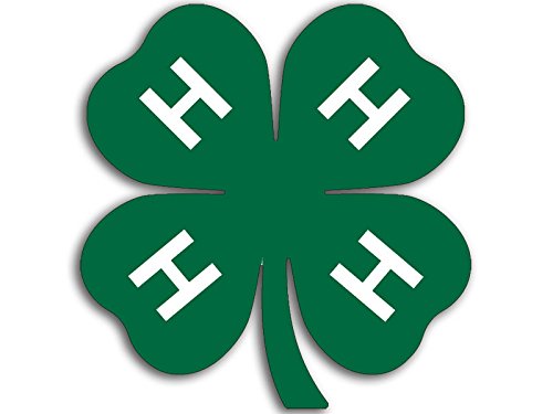 Green Clover Logo Sticker - 3 Inch Vinyl Emblem for Cars, Laptops, Water Bottles