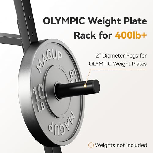 Olympic Weight Plate Rack - 400LB Heavy Duty Storage Tree