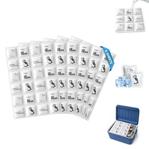 Flexible Reusable Ice Packs for Coolers - 6 Cut-to-Fit Sheets