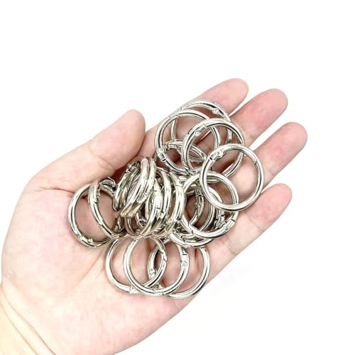 20 Pack 1 Inch Zinc Alloy Carabiner Clips - Silver