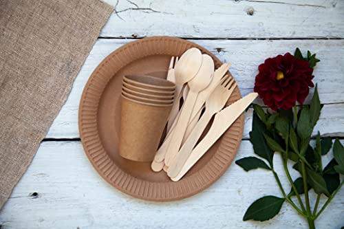 Biodegradable Wood Cutlery Knife - 6.5 Inch - 100 Count