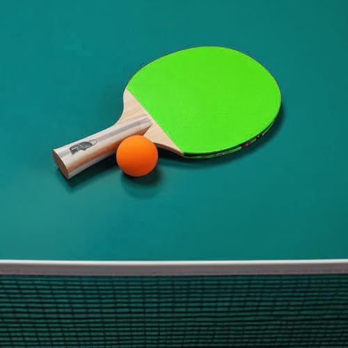 Pingpong Table Tennis Net - Black Replacement for Indoor & Outdoor Use (71.26" x 5.51")
