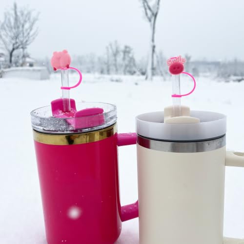Cute Pig Straw Covers for 10mm Straws - Pig Design