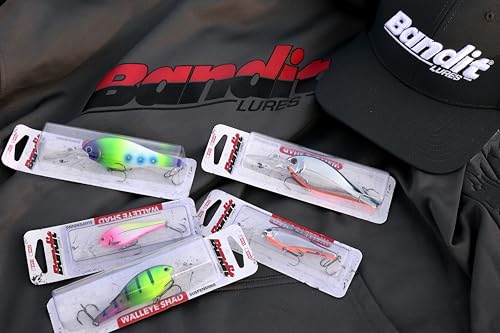 Bandit Walleye Shad Crankbait - Fruit Dots / WS2 (2-11/16") - Realistic Shad Profile for Freshwater Fishing