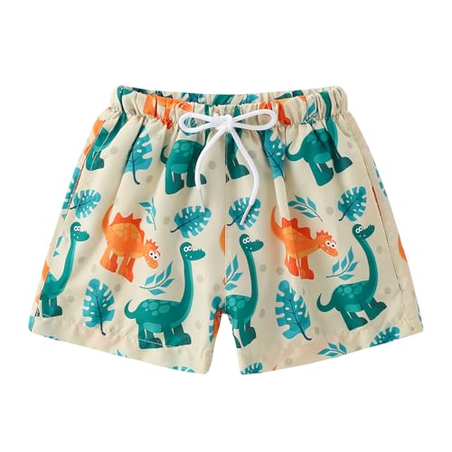 Boys Toddler Swim Trunks - Dinosaurs Print, UPF50+