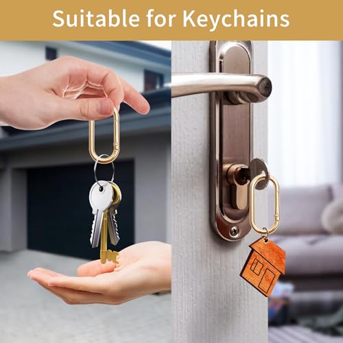 4 Pcs Oval Spring Ring Clips - 1.97 Inch Zinc Alloy Snap Hooks for Handbags