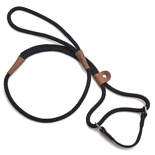 Martingale Style Dog Leash & Collar Combo - Black, 3/8 in x 6 ft