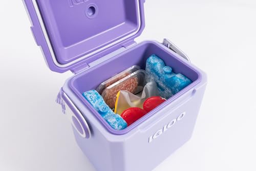 Maxcold Ice Block - 2 Pack Large, Non-Toxic Freezable Gel