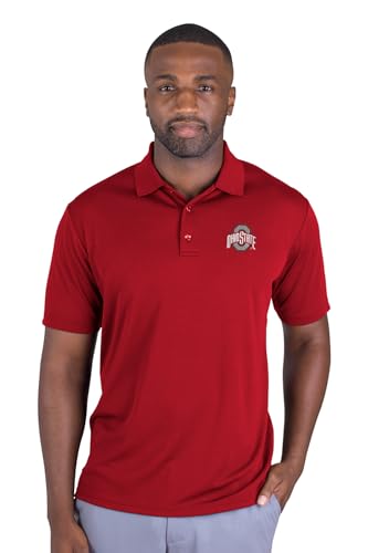 Men's Polyester Mesh Polo Shirt with Team Icon Graphic