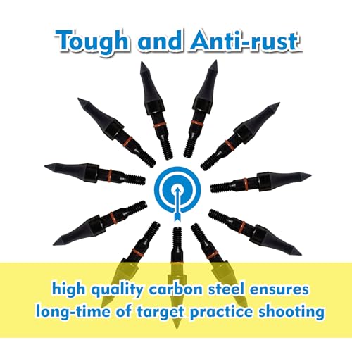 100 Grain Archery Arrow Tips - 12 Pack Field Points, 5/16" Diameter