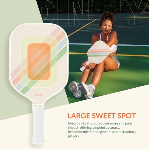 Dinkly 2 Macaron Twill Gray Graphite Pickleball Paddles Set USAPA Approved