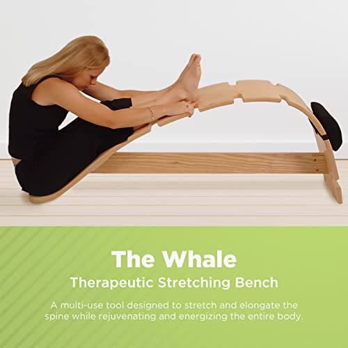 Whale Curved Back Stretching Bench - Spinal Alignment Tool