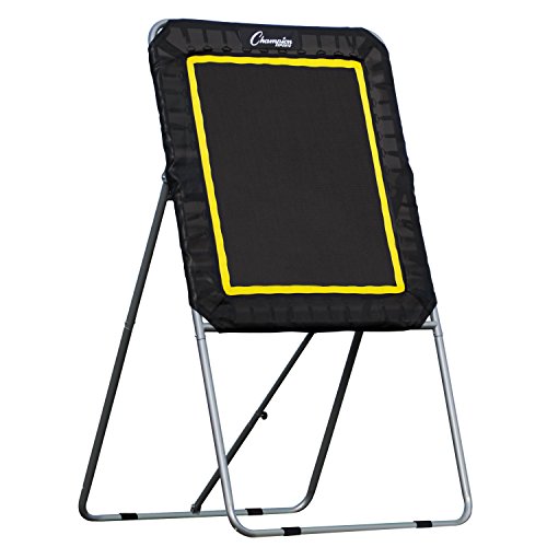 Lacrosse Rebounder Target - Deluxe 3' x 4' Ball Return Net