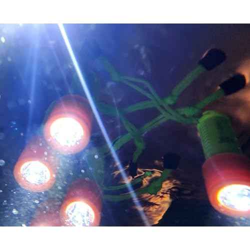 Sirius Signal F1-CR123 80 Lumen Floating IP68 Waterproof LED Flashlight with Lanyard