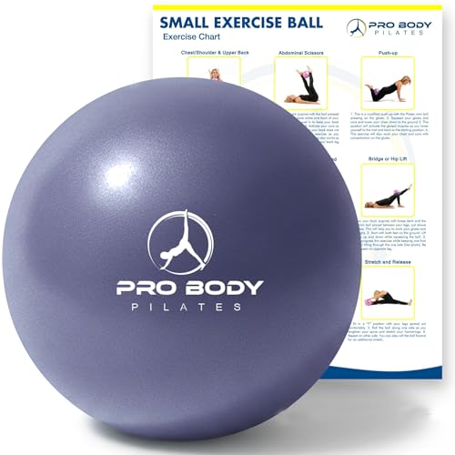 9 Inch Pilates Ball - Small Anti-Burst Exercise Ball - Indigo