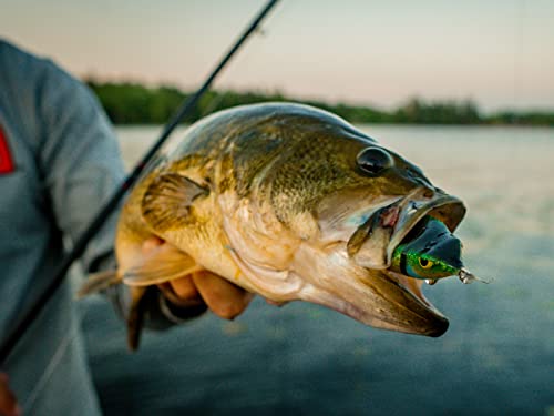 Weedless Hollow Body Popping Frog Lure for Bass Fishing - Brown Leopard Frog, 2.75"