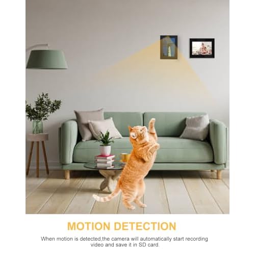 Hidden Camera Photo Frame,1080P Picture Frame Spy Camera Security Nanny Cam with Motion Detection, Indoor Security Video Spy Cam for Home Office-No WiFi Needed No Audio