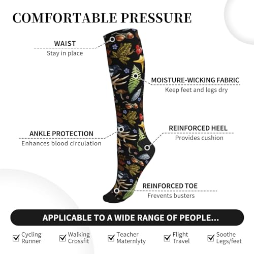 Compression Socks for Men & Women - Support Circulation - Watercolor Forest Bird